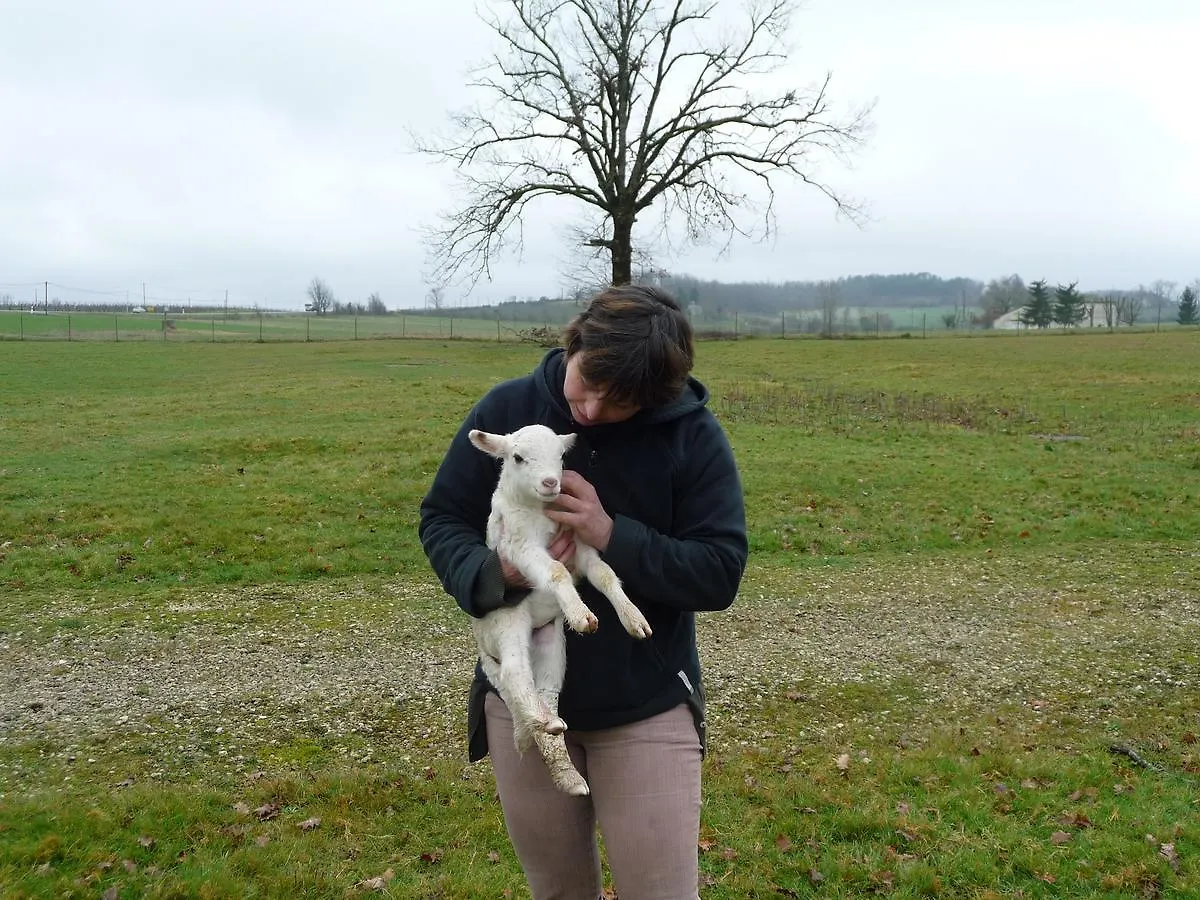 Auberge Le Gabachou Montpezat-de-Quercy 0*,